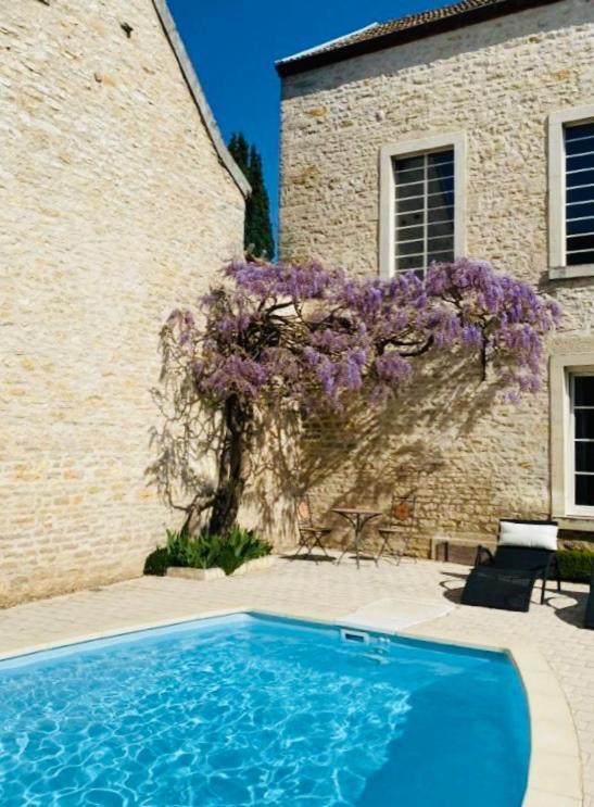 "Le Jardin" Chambre De Charme, Piscine A 莫索特 外观 照片