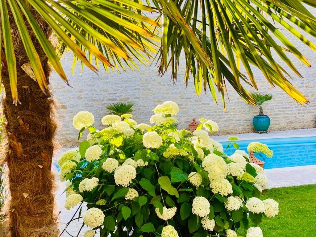 "Le Jardin" Chambre De Charme, Piscine A 莫索特 外观 照片